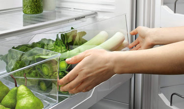 Factory second Fisher & Paykel 494 L Bottom Mount Refrigerator – Stainless Steel (RF522BLPX6)